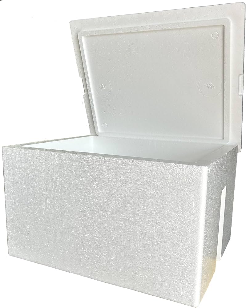 High-Density Styrofoam Dry Ice Cooler