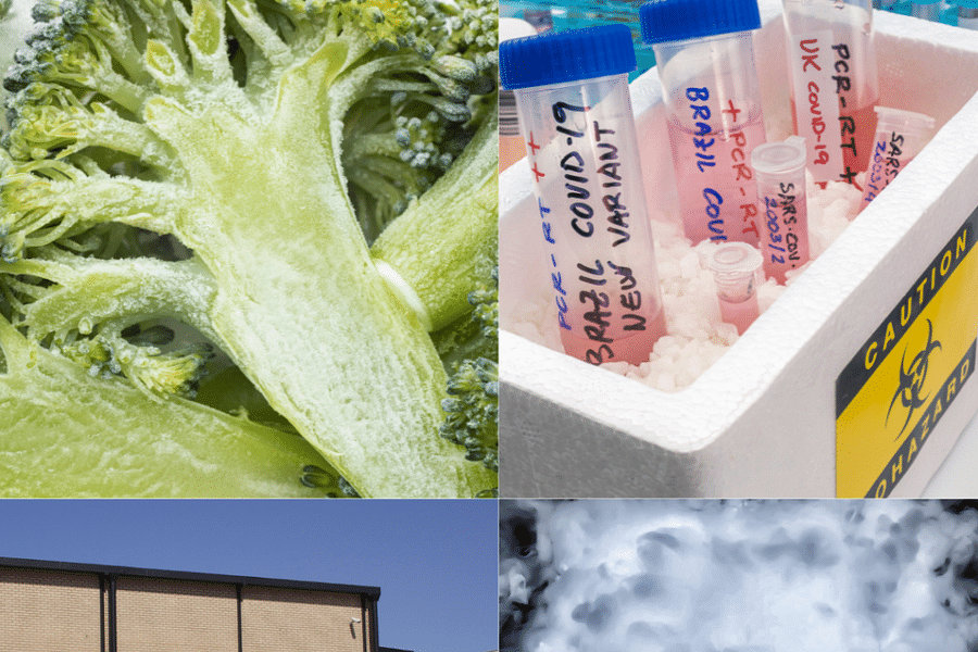 dry ice moisture-free