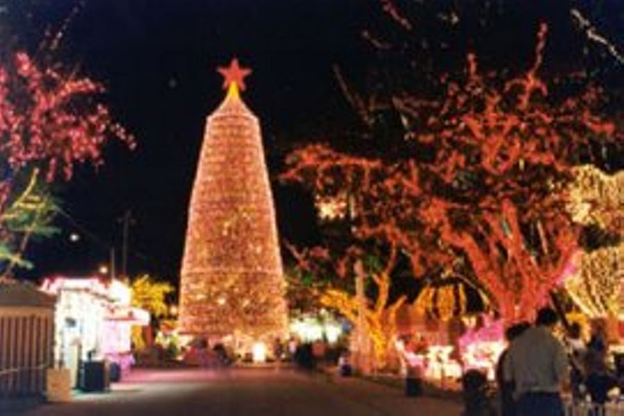 Enchanted forest stage dry ice
