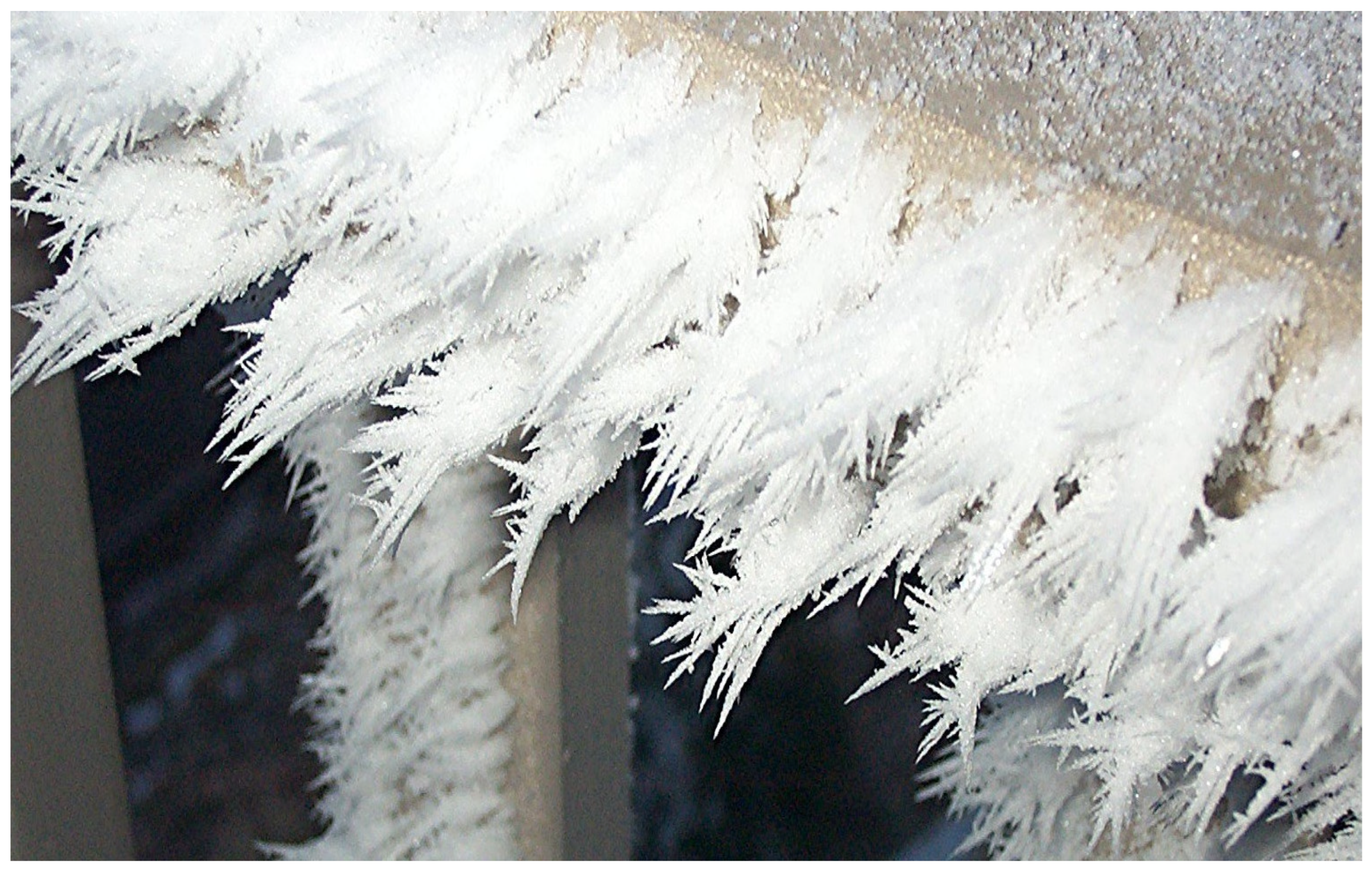 molecular gastronomy frozen air foam