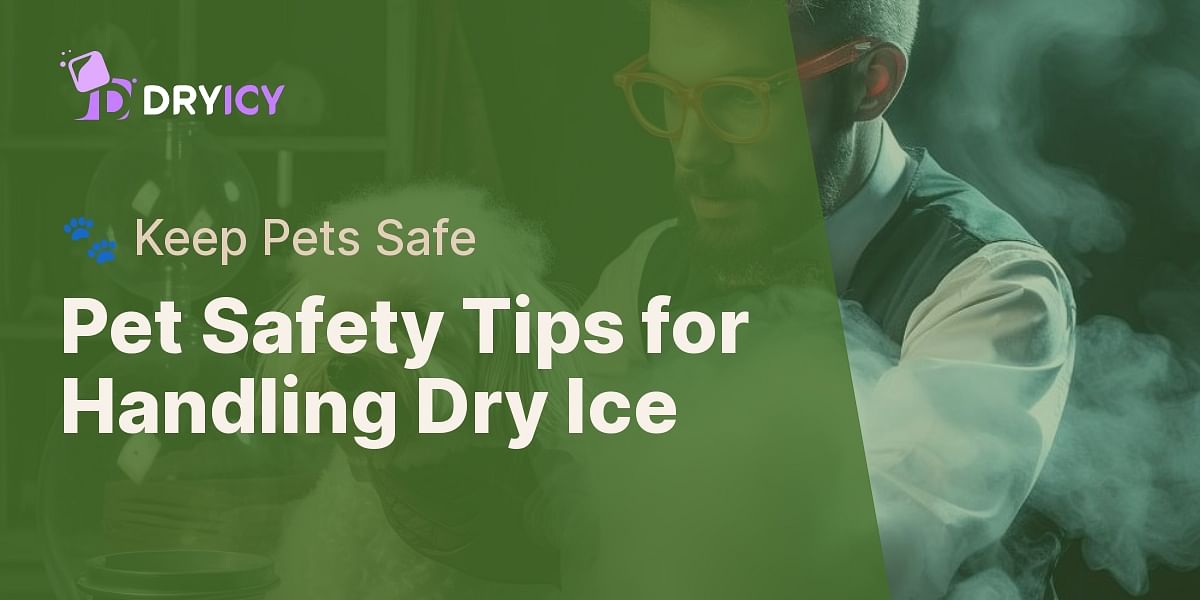 What are the safety precautions when handling dry ice around pets?