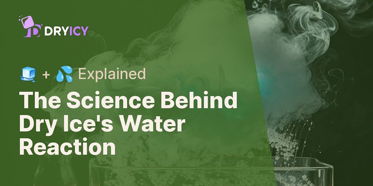 Why does dry ice react with water?