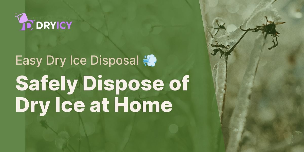 How to Safely Dispose of Dry Ice at Home Dry Icy